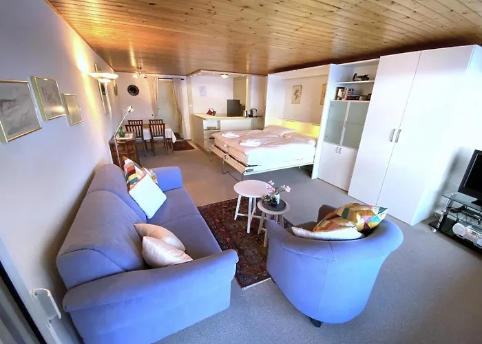 Adler 88 - In Der Naehe Von Torrent, Super Aussicht! ロイカーバード